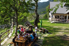 Planinska šola v naravi 2016 - Planina Razor